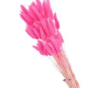 Pampas Grass Large 60/80pcs Real Bunny Tails Grass Dried Flowers Wedding Party Decor Nature Christmas Diy Home Table Decoration Pampas Grass Vase(Meat pink,60pcs)