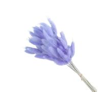 Pampas Grass Large 60pcs Bunny Rabbit Tail Grass Dried Flower Bouquet Home Decor Pampas Floral Wedding Christmas Decoration(Light purple)