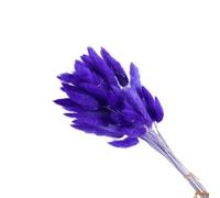Pampas Grass Large 60pcs Bunny Rabbit Tail Grass Dried Flower Bouquet Home Decor Pampas Floral Wedding Christmas Decoration(PURPLE)