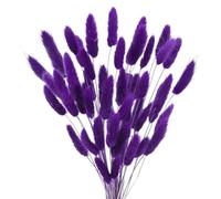 Pampas Grass Large Bunny Tails Dried Flowers,White Natural Dry Pampas,Eternal Rabbit Grass For Vase,Arrangement Wedding,Home,Hotel Decoration(Purple,20Pcs)