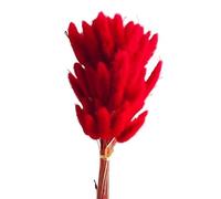 Pampas Grass Large Fluffy Dried Flowers Rabbit Bunny Tails Home Wedding Table Decoration Natural Pampas Grass Christmas Decor Accessories(Red,100PCS)