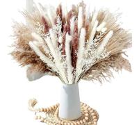 Pampas Grass Large Natural Pampas Bunny Rabbit Tails Dried Flowers Bouquet Wedding Party Decoration Fresh Limonium Lover Grass Home Vase Decor(AC-80PCS)
