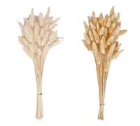 Pampas Grass Large Natural Pampas Bunny Rabbit Tails Dried Flowers Bouquet Wedding Party Decoration Fresh Limonium Lover Grass Home Vase Decor(TWC-60PCS)