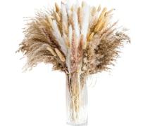 Pampas Grass Large Natural Pampas Bunny Rabbit Tails Dried Flowers Bouquet Wedding Party Decoration Fresh Limonium Lover Grass Home Vase Decor(AC-446-105PCS)