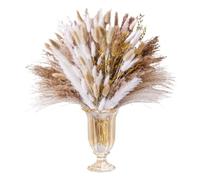 Pampas Grass Large Natural Pampas Bunny Rabbit Tails Dried Flowers Bouquet Wedding Party Decoration Fresh Limonium Lover Grass Home Vase Decor(AC-558-100PCS)