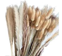 Pampas Grass Large Natural Pampas Bunny Rabbit Tails Dried Flowers Bouquet Wedding Party Decoration Fresh Limonium Lover Grass Home Vase Decor(AC-100PCS)
