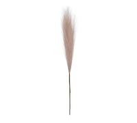 Pampas Grass - Pampas Grass Bouquet | Reed Flower | Faux Fabric Design With No Shedding, 47cm Tall, Ideal For Table, Shelf & Living Room Decor, Perfect For & Art Displays