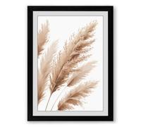 Pampas Grass Plumes Botanical Framed Wall Art Print A2 (59.4×42cm) Black, Wall Decor for Living Room, Bedroom, Office & Home, Ready to Hang, Art Gift