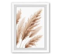 Pampas Grass Plumes Botanical Framed Wall Art Print A2 (59.4×42cm) White, Wall Decor for Living Room, Bedroom, Office & Home, Ready to Hang, Art Gift