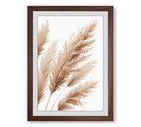 Pampas Grass Plumes Botanical Framed Wall Art Print A4 (29.7×21cm) Walnut, Wall Decor for Living Room, Bedroom, Office & Home, Ready to Hang, Art Gift