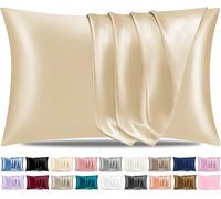 Pamposh Satin Silk Pillowcases For Hair And Skin 2 Pack Standard Size with Envelope Closure (2 Pcs Pillowcases (50 x 75 cm), Champagne)