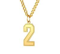 PAMTIER 0-9 Number Necklace for Men Women Silver Black Gold Plated Digital Pendant Stainless Steel Statement Chain Personalised Simple Jewellery Gold Number 2