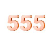 PAMTIER Angel Number Necklaces for Women 000 111 222 333 444 555 666 777 888 999 Gold/Silver Plated Simple Stainless Steel Dainty Pendant Statement Personalised Jewellery Gold Rose Number 555