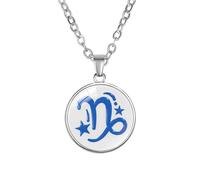 PAMTIER Zodiac Sign Necklace for Women Men Couples Circle Spirit Pendant Astrology Celestial Constellation Horoscope Stainless Steel Simple Colourful Jewellery Capricorn