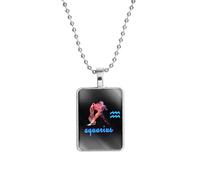PAMTIER Zodiac Sign Necklace for Women Men Couples Spirit Pendant Square Astrology Celestial Constellation Horoscope Stainless Steel Simple Bead Chain Jewellery Aquarius