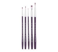 Pan Art Synthetic Brush Set No.02-10 - Versatile Artist Brushes - 5 Pieces, Purple