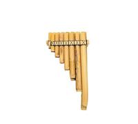Pan Flute For Beginners 22 Pipe Pan Flute Adult ABS Resin Panpipe Beginner Professional Durable Panpipes Traditional Play Woodwind Instruments(Arundo Donax-g1)