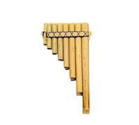 Pan Flute For Beginners 22 Pipe Pan Flute Adult ABS Resin Panpipe Beginner Professional Durable Panpipes Traditional Play Woodwind Instruments(G1)