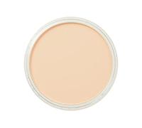 Pan Pastel Artists Pastel Orange Tint - 2808