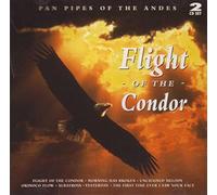 Unknown artist - Flight of the Condor
