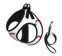 Panama Flag Map print Dog Harness, 2X Buckle,Dog Vest,No Pulling Front Leash Clip,for Small Medium Dogs