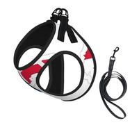 Panama Flag Map Print Small Dog Harness And Leash Set, Adjustable Soft Vest With 360° Reflective Straps For Cats Puppy