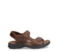 Panama Jack Mens Salton Basics C4 Leather Sandals - Rustic Brown - UK 12 | EU 46 | US 13
