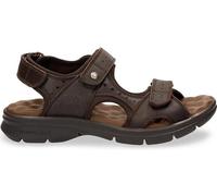 Panama Jack Men's Salton Basics Peeptoe Sandals, Marron C35, 9 UK