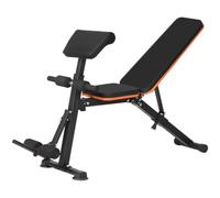 Panana Adjustable Multi-Functional Gym Bench Roman Chair Weight Workout Bench Exercise Strength Versatile Training Fitness Equipment for Full All-in-One Body Workout Hyper Back Extension