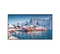 Panasonic 50" 4K Professional Display TH-50SQE2W
