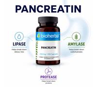 PANCREATIN 250mg Combination of digestive enzymes,100 caps