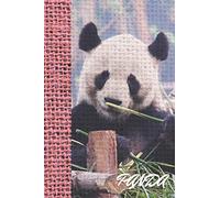 Panda: a Cute and Blank Notebook for Everyone You Love, Nice PANDA, a Gift for Yourself, ( Diary, Journal) (100 Pages, Blank, 6 x 9)