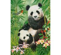 Panda Brunch