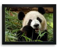 PANDA Cushioned Bean Bag Laptray Home Lap Tray Drinks Food Lap Tray