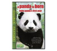 Panda Is Born & Baby Panda's First Year [DVD] [Region 1] [US Import] [NTSC]