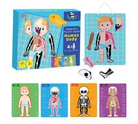 Panda Juniors 48 Pieces Magnetic Puzzles Human Anatomy Play Set for Kids Age 3+