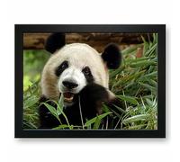 Panda Lap Tray Cushioned Functional Lap Surface Versatile Lap accessory Laptop Food Reading Crafting Home office Kids Adults