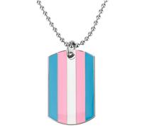 Panda Loco Progress Pride LGBTQI+ Flag Dog Tag Necklaces | Metal Enamel (Transgender)