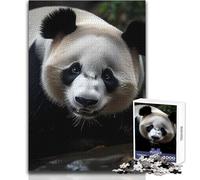 Panda Nature Teenagers 1000 Pieces Puzzle Educational Reasoning Skill Game Ideal Thoughtful Gift for All Events Size 38x26cm