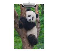 Panda on The Tree A4 Size Clipboard Funny Aesthetic Working Studying Letter Standard Clip Board 12.5×8.5 in Hardboard for School Classroom Kids Writing Drawing