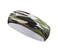 Panda on The Tree Branch Sports Headbands Fashion Moisture Wicking Workout Headband Soft Fabric Non-Slip Sweatbands for Daily Workout Yoga Running Hairband for Women and Men
