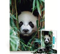 Panda Peering through Bamboo Forest 1000 Piece Jigsaw Puzzles for Adults Memory Gain Peaceful Time Design Assembly Premium Gift (38x52cm)