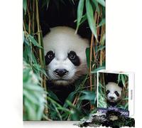 Panda Peering through Bamboo Forest Jigsaw Puzzles for Teenagers 1000 Pieces Think Toy Soothing Fun Clean Cut Art Collectible (50x75cm)