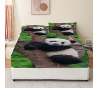 Panda Single Fitted Sheet National Treasure Bed Sheets - 30 cm Deep Pocket Fitted Bed Sheet with 2 Pillowcases, Soft Brushed Microfiber Bedding 90x190 cm - Easy Care Bottom Sheets