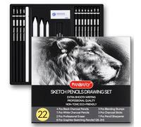 PANDAFLY Pro Sketch Pencils Drawing Set, 22 Piece Art Pencil Kit - Graphite Pencils (12B-2H), Black & White Charcoal, Stumps, Eraser, Sharpeners
