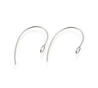 Pandahall 200pcs 304 Stainless Steel Earring Hooks with Loop 25x14x4mm Ear Wire Findings for Dangle Earring Jewelry Making