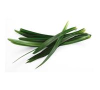 Pandan leaves fresh 100g