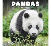 Panadas Calendar 2025 Square Animal Wall Calendar - 16 Month 9781804604434 NEW