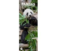 Pandas 2026 Wall Calendar, 12-Month Slim Format, Made in England