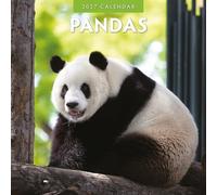 Pandas - 2027 Square Wall Calendar - by Red Robin Publishing